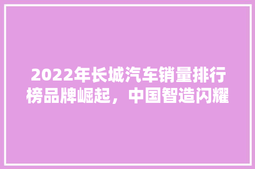 2022年长城汽车销量排行榜品牌崛起，中国智造闪耀全球