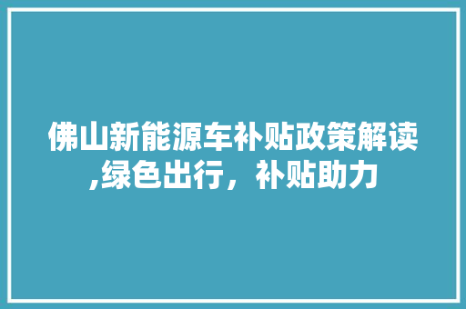 佛山新能源车补贴政策解读,绿色出行，补贴助力 车载导航