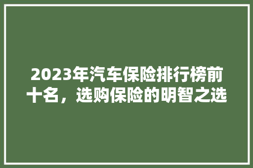 2023年汽车保险排行榜前十名，选购保险的明智之选 新能源汽车