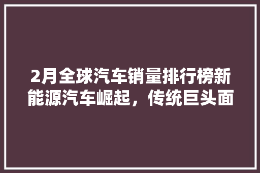 2月全球汽车销量排行榜新能源汽车崛起，传统巨头面临挑战