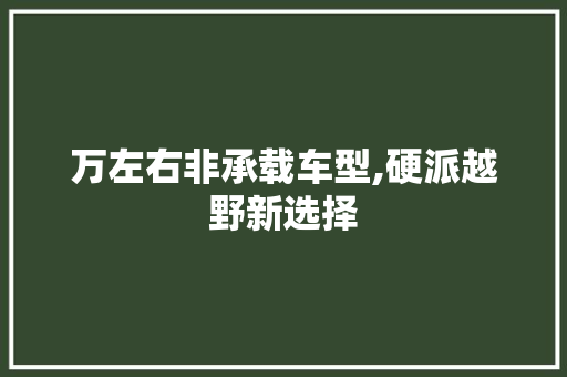 万左右非承载车型,硬派越野新选择