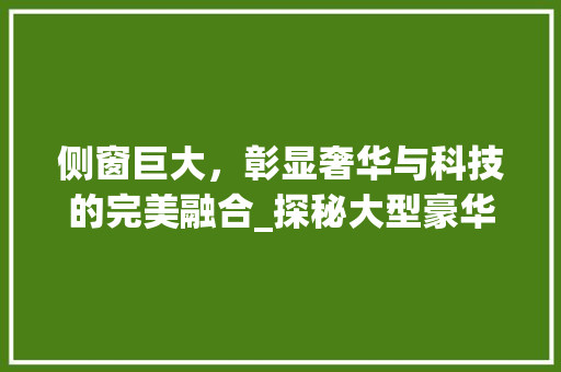 侧窗巨大，彰显奢华与科技的完美融合_探秘大型豪华轿车