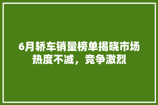 6月轿车销量榜单揭晓市场热度不减，竞争激烈