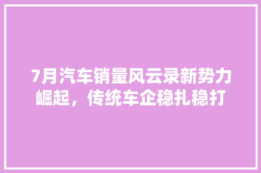 7月汽车销量风云录新势力崛起，传统车企稳扎稳打