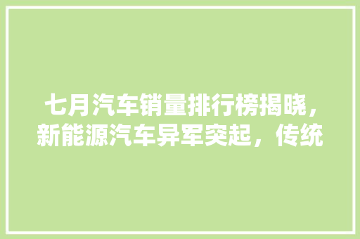 七月汽车销量排行榜揭晓，新能源汽车异军突起，传统车型稳中求进