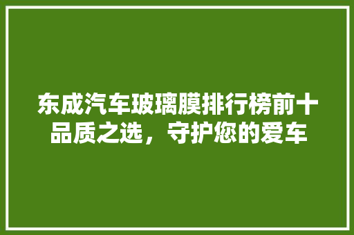 东成汽车玻璃膜排行榜前十品质之选，守护您的爱车