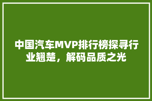 中国汽车MVP排行榜探寻行业翘楚，解码品质之光