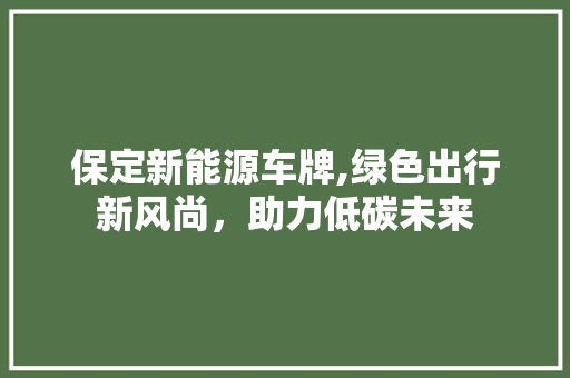 保定新能源车牌,绿色出行新风尚，助力低碳未来