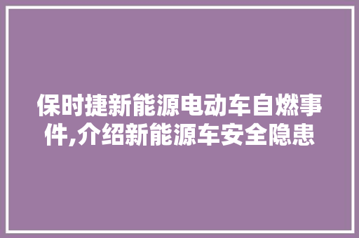 保时捷新能源电动车自燃事件,介绍新能源车安全隐患与挑战 汽车轮胎