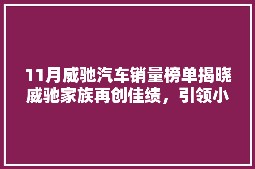 11月威驰汽车销量榜单揭晓威驰家族再创佳绩，引领小型车市场新潮流