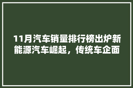 11月汽车销量排行榜出炉新能源汽车崛起，传统车企面临挑战