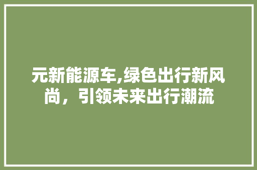 元新能源车,绿色出行新风尚，引领未来出行潮流 混合动力车