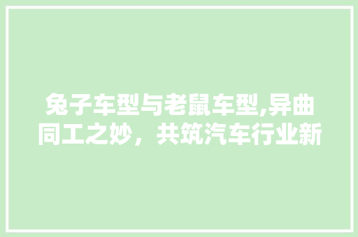 兔子车型与老鼠车型,异曲同工之妙，共筑汽车行业新篇章