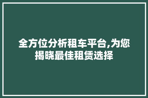 全方位分析租车平台,为您揭晓最佳租赁选择