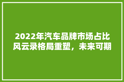 2022年汽车品牌市场占比风云录格局重塑，未来可期