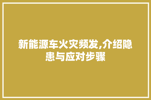 新能源车火灾频发,介绍隐患与应对步骤 车载导航