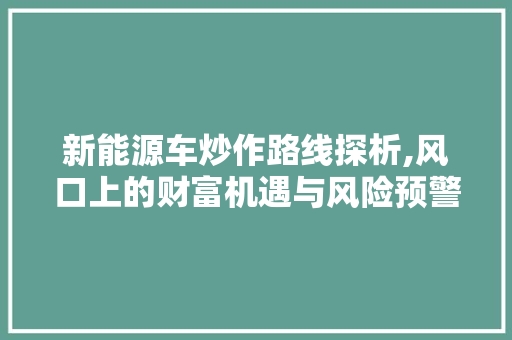 新能源车炒作路线探析,风口上的财富机遇与风险预警