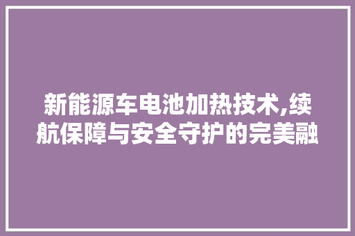 新能源车电池加热技术,续航保障与安全守护的完美融合