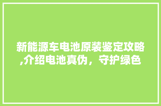 新能源车电池原装鉴定攻略,介绍电池真伪，守护绿色出行