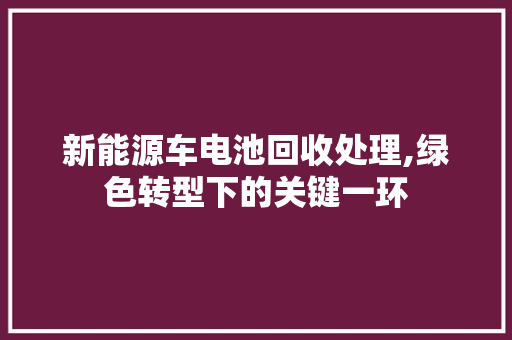 新能源车电池回收处理,绿色转型下的关键一环