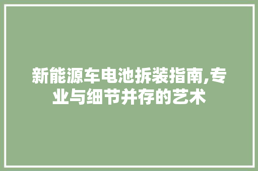 新能源车电池拆装指南,专业与细节并存的艺术