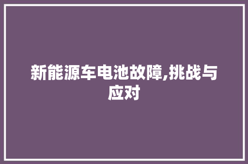新能源车电池故障,挑战与应对