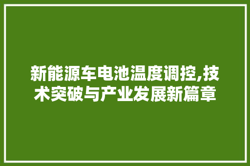 新能源车电池温度调控,技术突破与产业发展新篇章