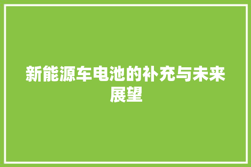 新能源车电池的补充与未来展望