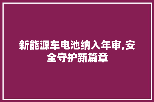 新能源车电池纳入年审,安全守护新篇章