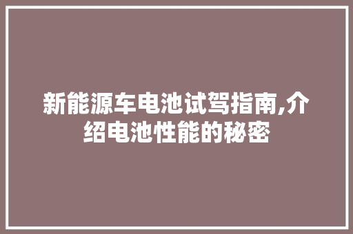 新能源车电池试驾指南,介绍电池性能的秘密