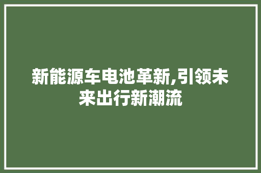 新能源车电池革新,引领未来出行新潮流