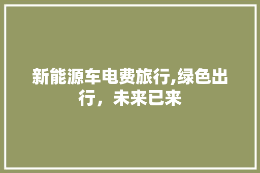 新能源车电费旅行,绿色出行，未来已来