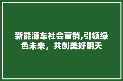 新能源车社会营销,引领绿色未来，共创美好明天