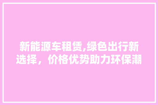 新能源车租赁,绿色出行新选择，价格优势助力环保潮流