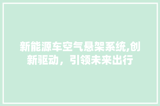 新能源车空气悬架系统,创新驱动，引领未来出行