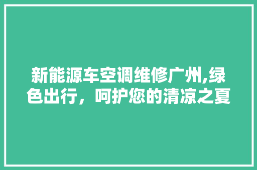 新能源车空调维修广州,绿色出行，呵护您的清凉之夏