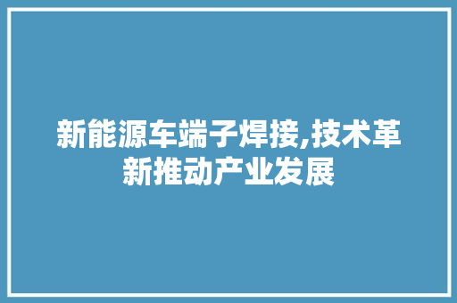 新能源车端子焊接,技术革新推动产业发展
