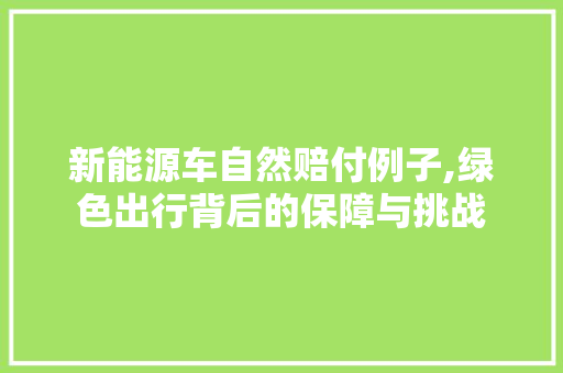 新能源车自然赔付例子,绿色出行背后的保障与挑战