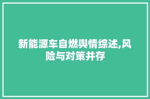 新能源车自燃舆情综述,风险与对策并存