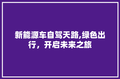新能源车自驾天路,绿色出行，开启未来之旅