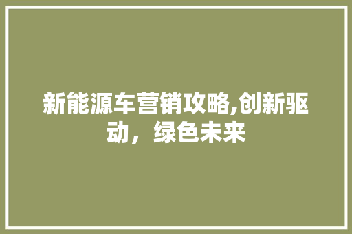 新能源车营销攻略,创新驱动，绿色未来