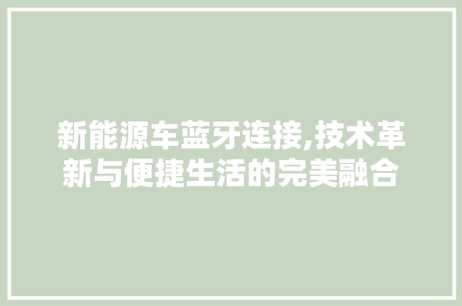 新能源车蓝牙连接,技术革新与便捷生活的完美融合
