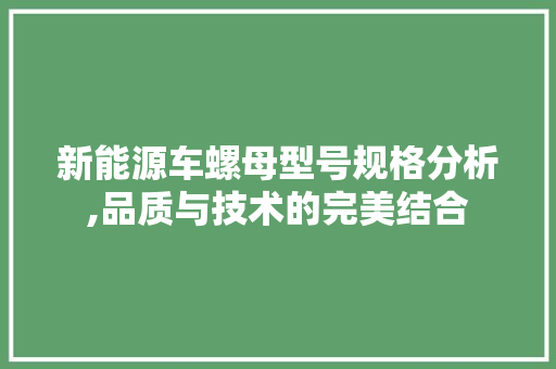 新能源车螺母型号规格分析,品质与技术的完美结合