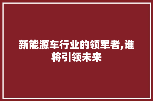 新能源车行业的领军者,谁将引领未来