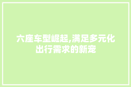 六座车型崛起,满足多元化出行需求的新宠