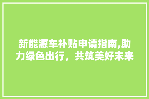 新能源车补贴申请指南,助力绿色出行，共筑美好未来