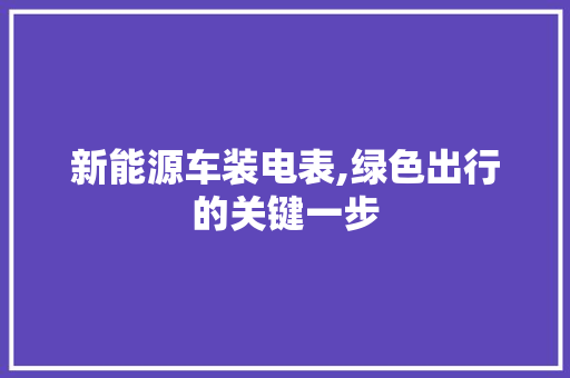 新能源车装电表,绿色出行的关键一步