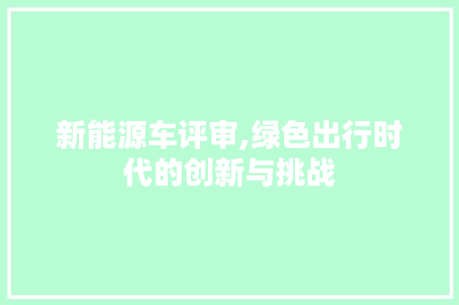 新能源车评审,绿色出行时代的创新与挑战