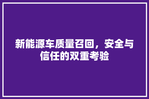 新能源车质量召回，安全与信任的双重考验