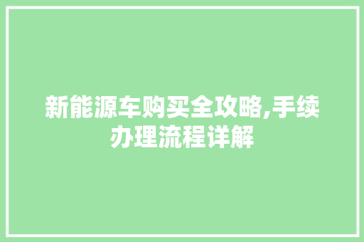 新能源车购买全攻略,手续办理流程详解